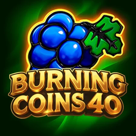 Burning Coins 40 — Slot | Midarion Casino